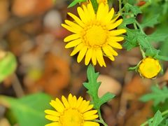 -山西通天峡景区