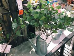 -宜家家居(哈尔滨商场店)