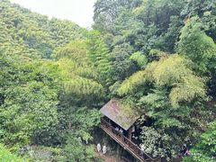 -莫干山风景区
