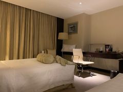 -国家会议中心大酒店