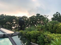 -三鹰之森吉卜力美术馆