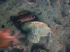 -苏州海洋馆