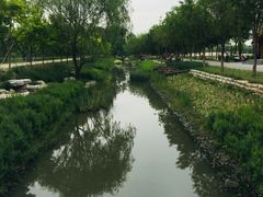 -东郊湿地公园