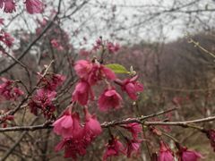 -世间香境·七溪地