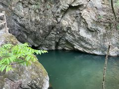 -牛背梁国家森林公园