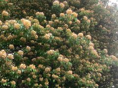 -南丰汇(新港东路店)