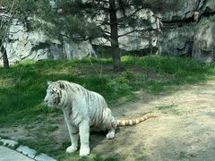 -北京野生动物园