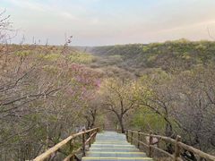 -大青沟风景区