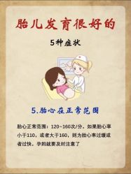 -海豚湾高端月子会所(黄浦店)