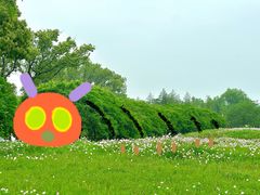 -良渚古城遗址公园