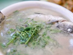 鲫鱼簕菜汤-东兴黄鳝饭店(江洲店)