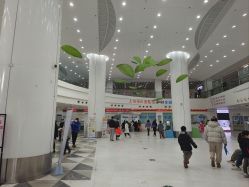 -上海市儿童医院(泸定路院区)