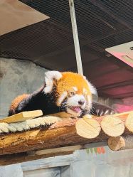 -Zoolung Zoolung动物主题公园(海信广场店)