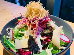 鸡丝沙拉-Hatsune隐泉日式料理(三里屯太古里店)