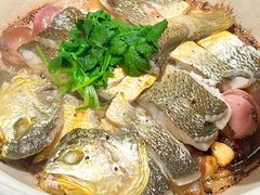 生啫深海大黄鱼-食廬(浦东嘉里城店)