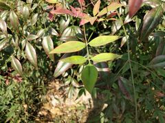 -杭州城北体育公园