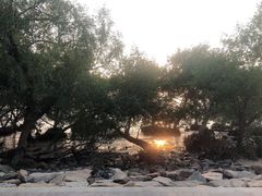 -宝安西湾红树林湿地公园