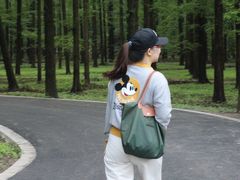 -东平国家森林公园