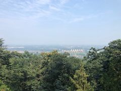 -阳台山自然风景区