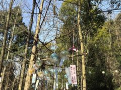 -剑门关风景区