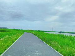 -宁波杭州湾国家湿地公园