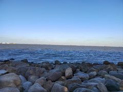 -上海吴淞炮台湾国家湿地公园