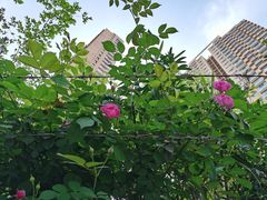 -卡旺卡(合肥北城世纪金源店)