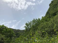 -抱龙峪