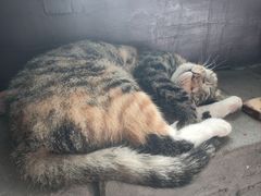 -宾朋海鲜饭庄(兴海路店)