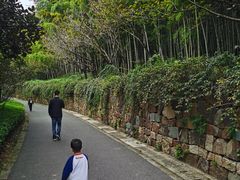 -苏州环秀晓筑养生度假村