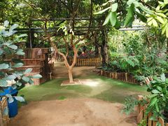 -呀路古热带植物园