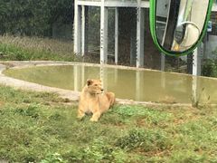 -西安秦岭野生动物园