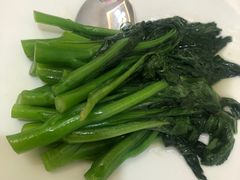 白灼广东菜心-食神鱼头佛跳墙(百子湾旗舰店)