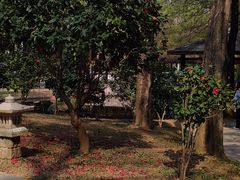 -深圳国际园林花卉博览园