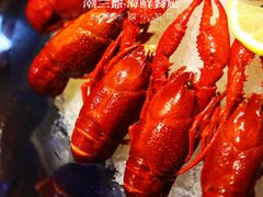 冰镇小龙虾-潮三爷砂锅焗海鲜·生腌·海鲜粥(朝晖店)