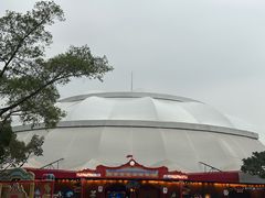 -广州长隆国际大马戏