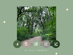 -皇藏峪国家森林公园