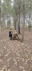 点击看大图 -花开映像儿童摄影
