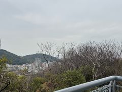-佛山华盖山公园