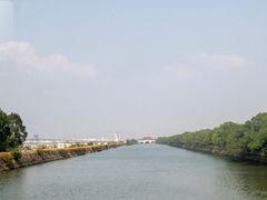-大湾区中央湿地公园