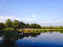 -永定河休闲森林公园