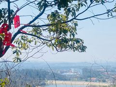 -青龙山国家森林公园