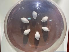 -青岛贝壳博物馆