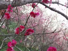 -木塔寺遗址生态公园