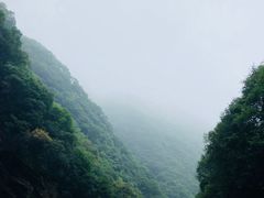 -少华山国家森林公园