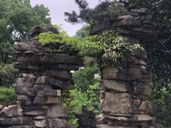 -南山植物园