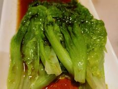 -金鼎轩(方庄天坛店)