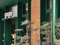 -gaga(金地威新中心店)