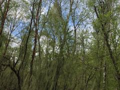 -叠溪松坪沟景区