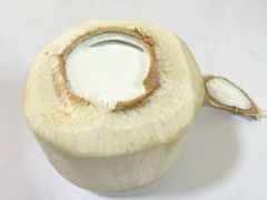 -志龙皇冠吃货椰子铺